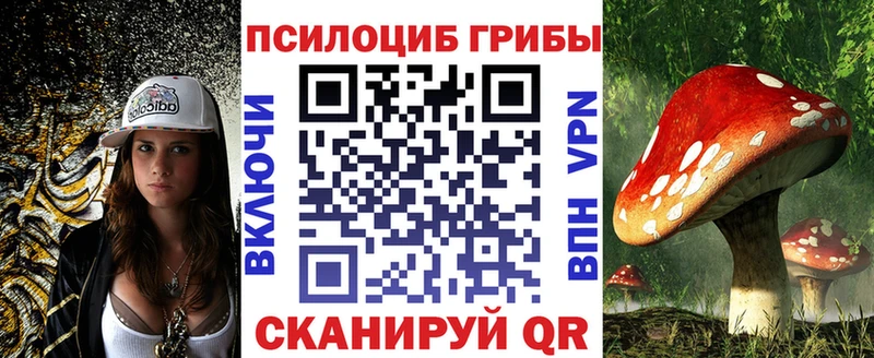 закладка  Рославль  Галлюциногенные грибы Psilocybine cubensis 